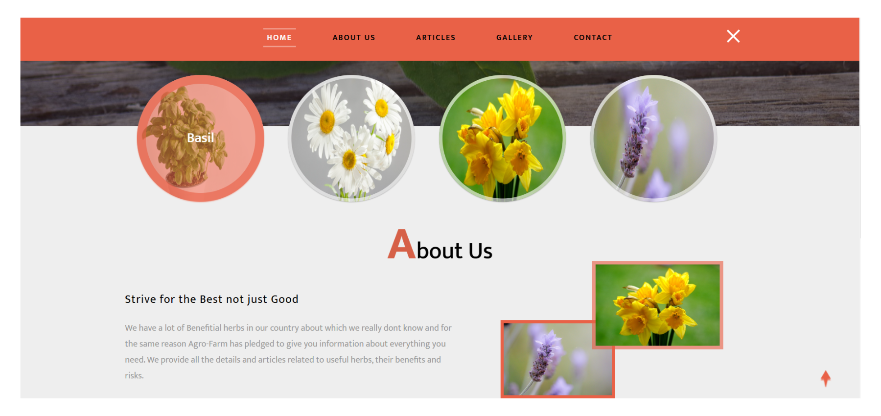Website Designing, Graphic Designing, Low cost, Free Demo, Anand, Gujarat, Ahmedabad, Surat, Vadodara, Freelancer, Freelance Web Designer, Graphic Designer, Game Developer, Anand, Gujarat, India, Freelancer, Digital Marketing, Top Freelancer, Best Services, Logo Designing, Thumbnail, Poster, Banner, Website